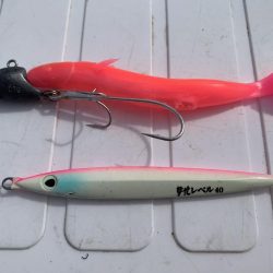 お久しぶりです。タチウオさん！！