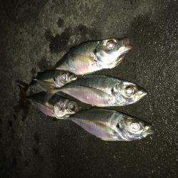 爆風に心折れました