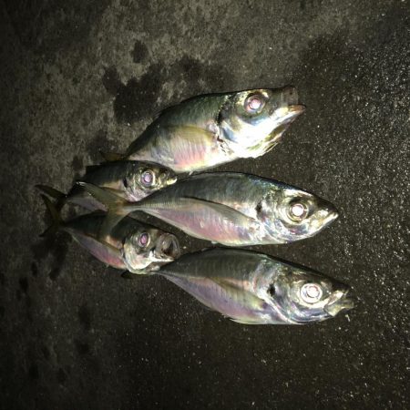 爆風に心折れました