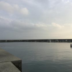 夕マヅメのアジング