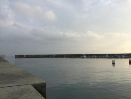 夕マヅメのアジング