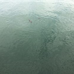 今回もアジアジアジアジアジアジアジアジアジアジ