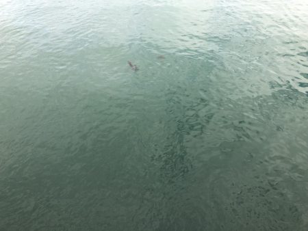 今回もアジアジアジアジアジアジアジアジアジアジ