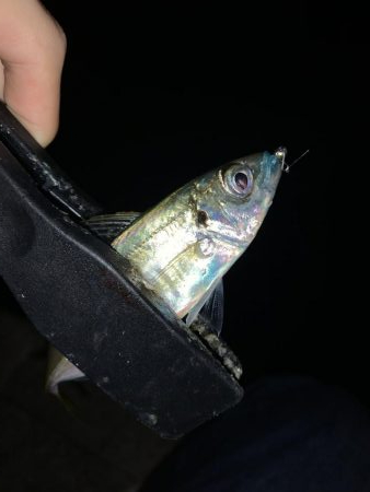 アーバンサイドアジング