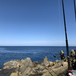 ショアプラッキング