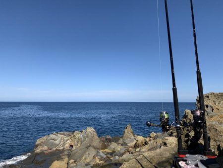 ショアプラッキング