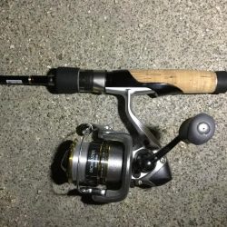 ナイトアジング