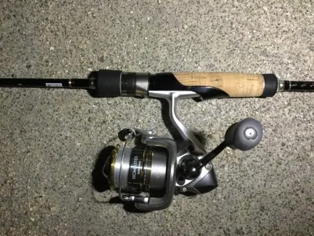 ナイトアジング