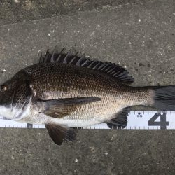 イチノ兄弟、釣果！