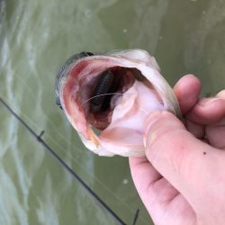 台風後のドリームレイク（管理釣り場）釣行