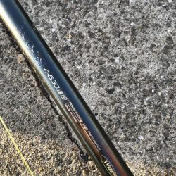 10月16日太刀魚ハマチ