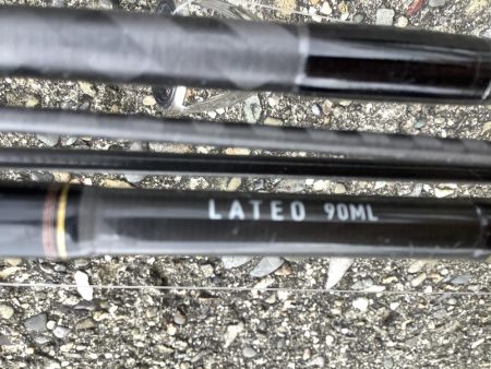 台風明けの荒くい