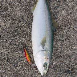 ポーアイ沖堤防にて