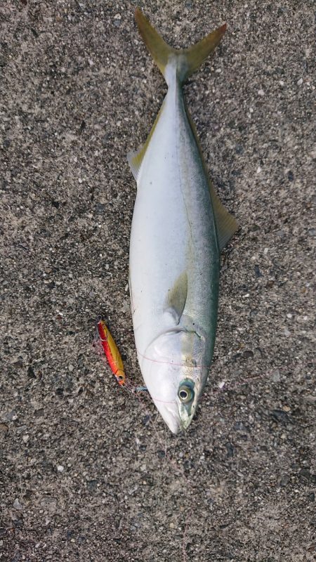 ポーアイ沖堤防にて