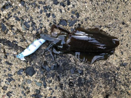 島根県のはずが…