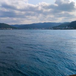 エリア鹿児島ですが奄美です2