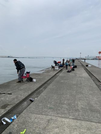 サワラ、ハマチ、タチウオ!