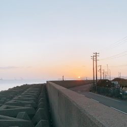 高級魚。ヒ、ヒ、ヒラメ！！