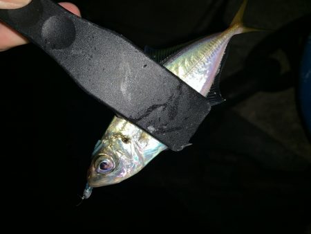 アーバンサイドアジング