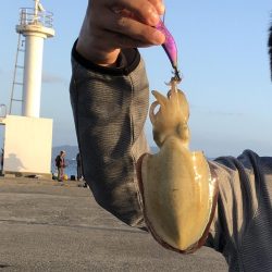 意表を突かれた！