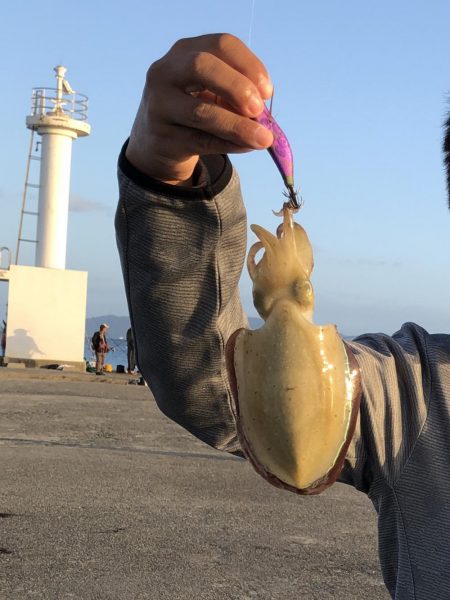 意表を突かれた！