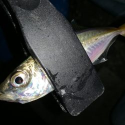 アーバンサイドアジング