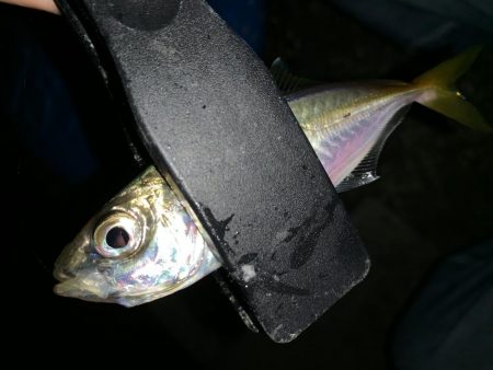 アーバンサイドアジング