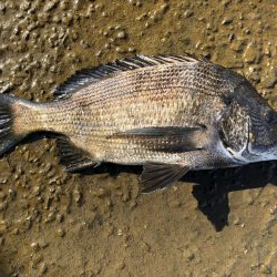 イチノ兄弟、釣果!