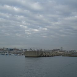 サヨリが居ない