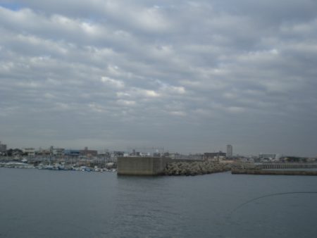 サヨリが居ない