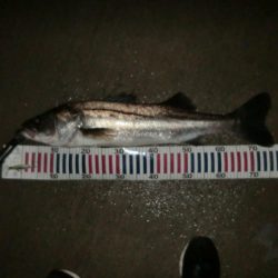 秋の深まりと共に