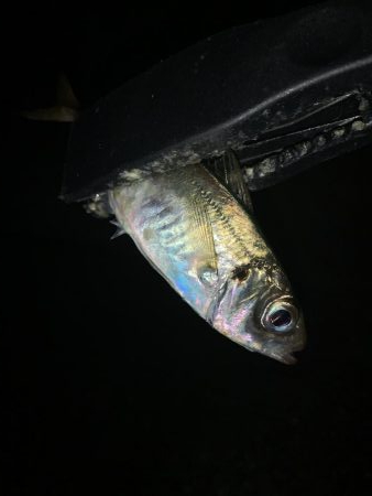 アーバンサイドアジング