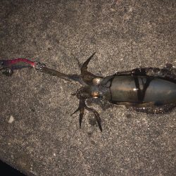 台風前に友達と行ってきました