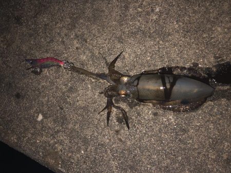 台風前に友達と行ってきました