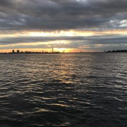 リベンジとは。