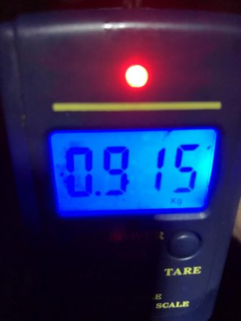 ショアジギング