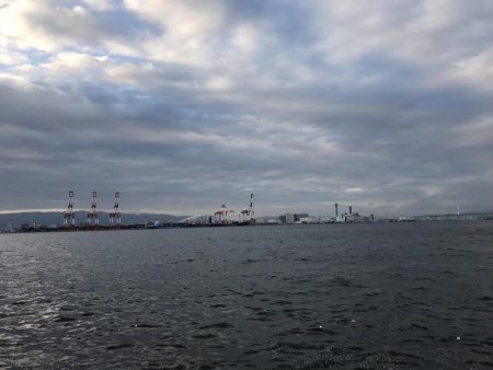 今年初タチウオ