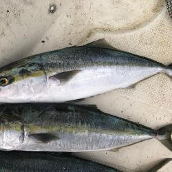 スローでジギング