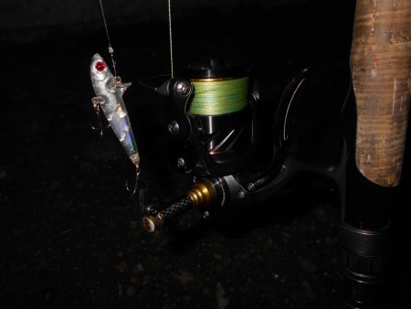 ライトシーバスゲーム…。