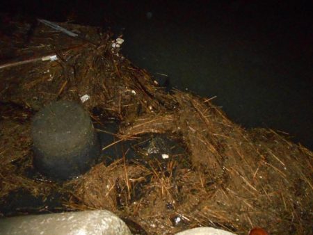 もうランカーでええや～ん