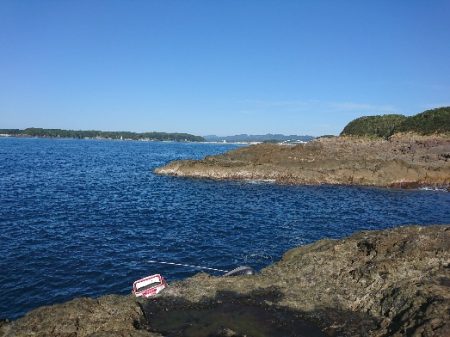 須江でグレ釣り