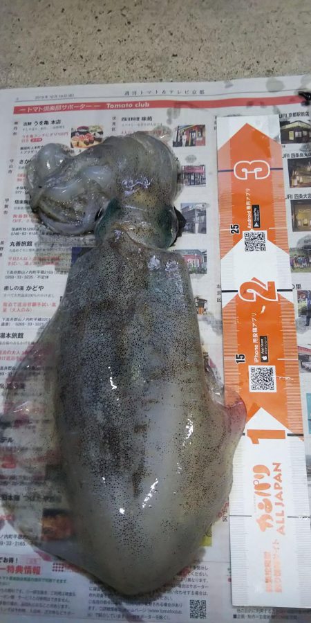 2日続けてスミ1でした