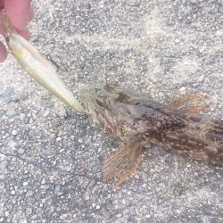 職場の仲間と旅行