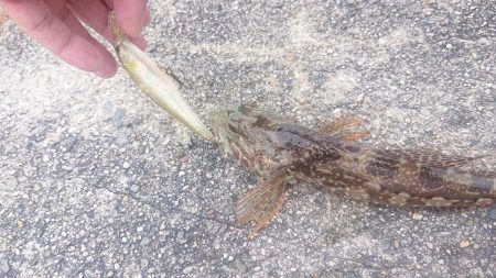 職場の仲間と旅行