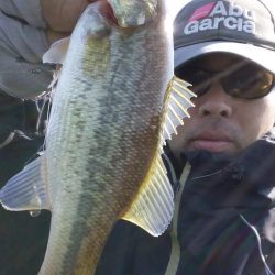 ルアーサイズが大事です