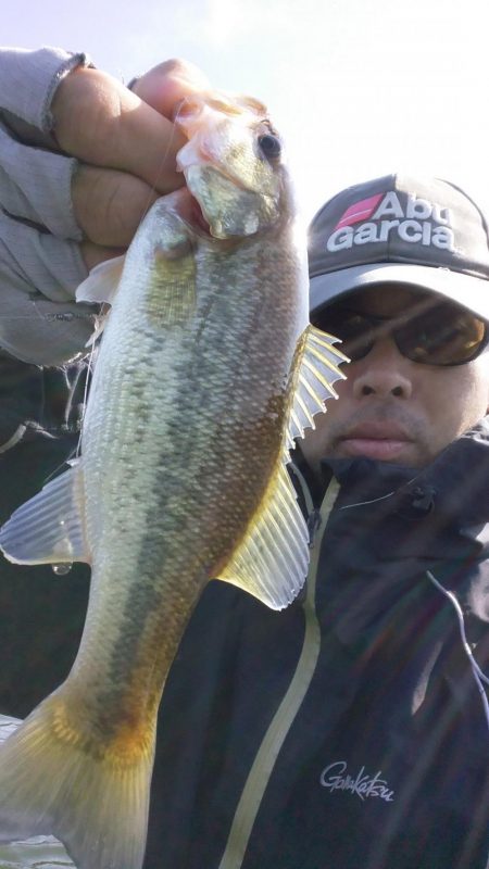 ルアーサイズが大事です