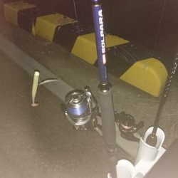 久しぶりに4Ｆ太刀魚ゲット