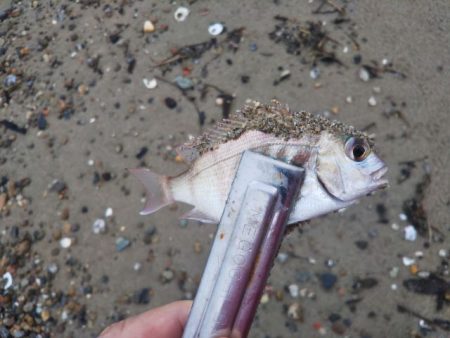 アタリはあるのに・・・