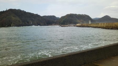 久しぶりのチヌ