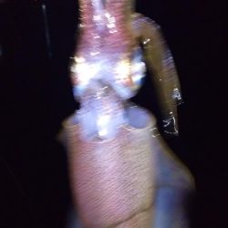 ヤエンとエギング